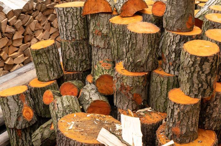 Travaux forestiers, Luxey