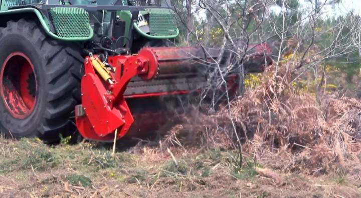 Maintenir la vitalité de vos bois et forêts
