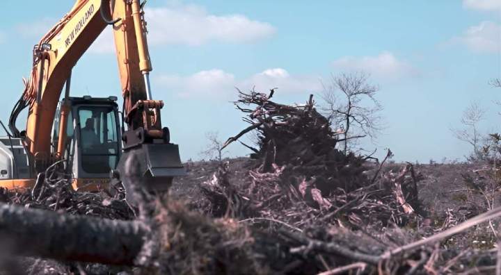 Débroussaillage forêt Landes