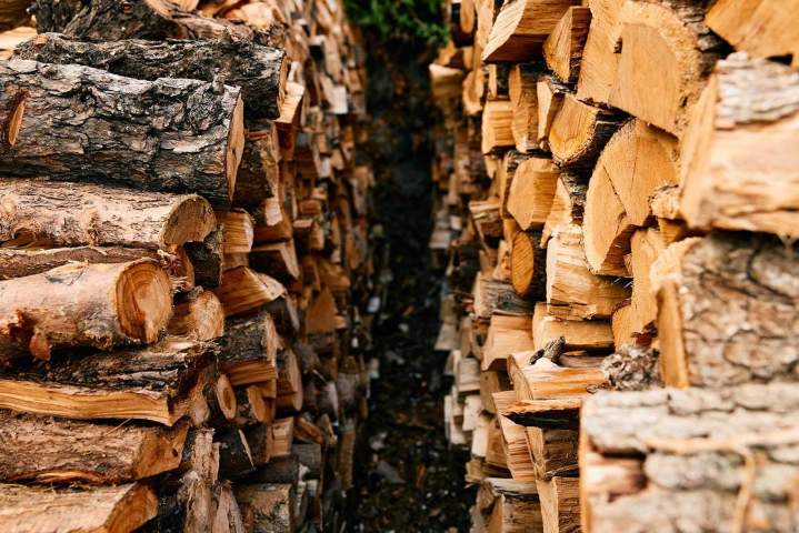 Débardage bois Landes